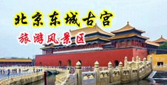 操会小逼视频中国北京-东城古宫旅游风景区